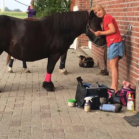 Wattenmeer-ferien Ferien Beim Wattfuhrer Ferienwohnung 2 * Butjadingen